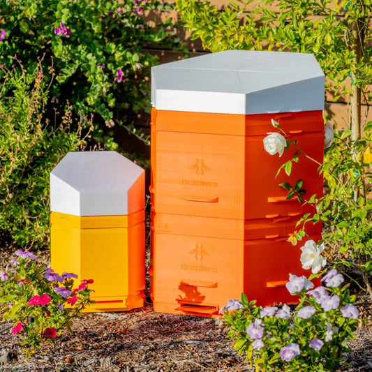 🐝 Summer Sale! - Hex Hives Mega - STLs ☀️